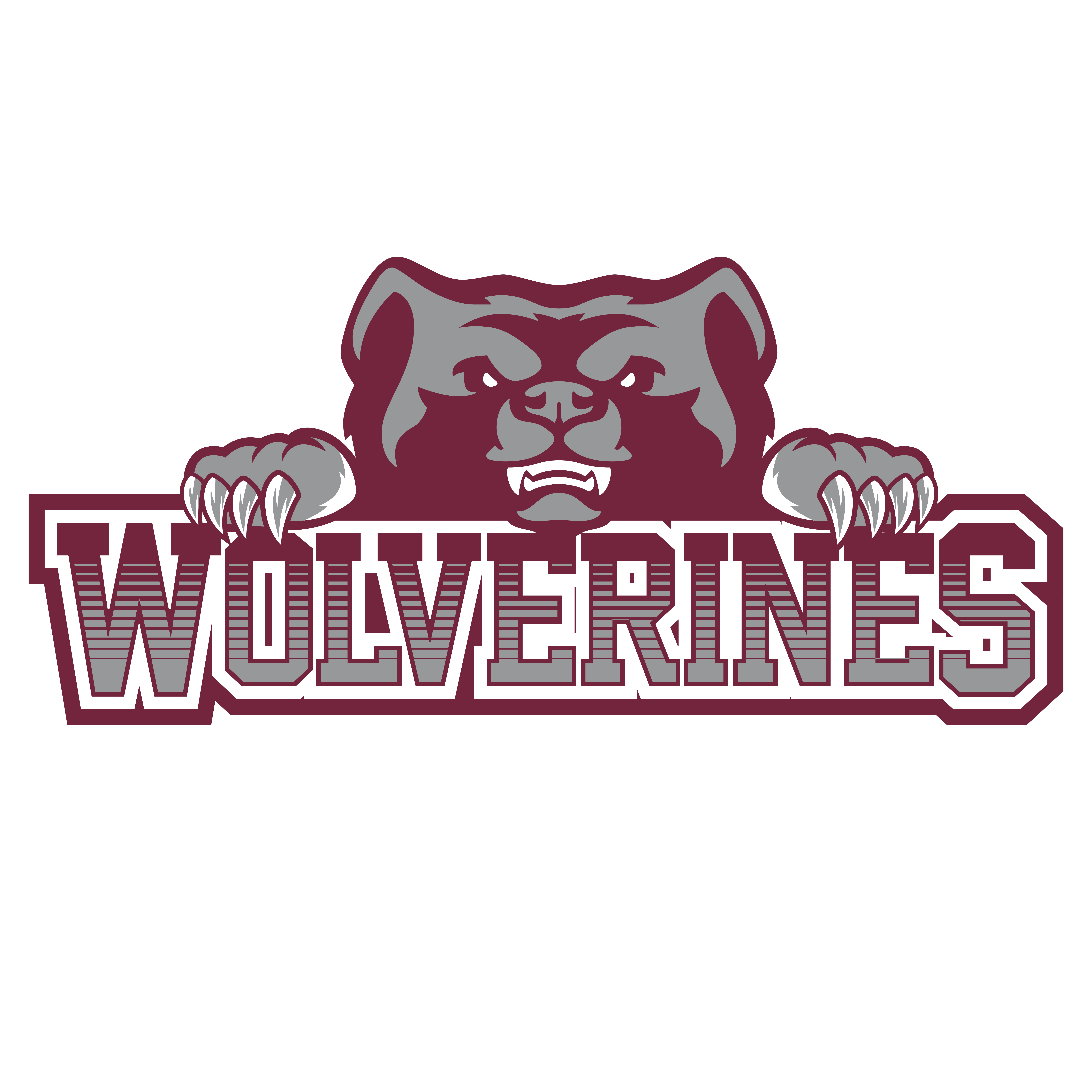 Team Logo